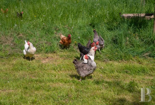 A completely renovated former mill halfway between Mantes-la-Jolie and Dreux in the Eure-et-Loire department - photo  n°39